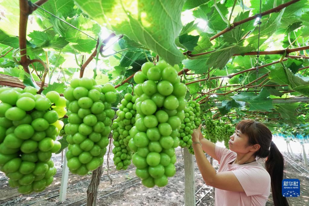 打麻将胡牌公式